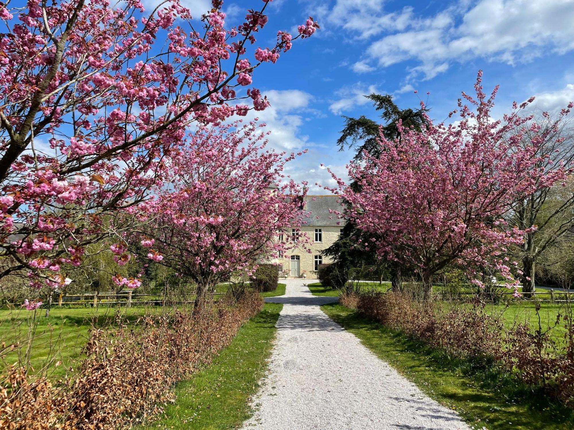 Chateau De Monfréville Εξωτερικό φωτογραφία
